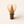 Kurotake Shin Chasen | Brown Bamboo